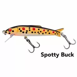 Black Magic BMax 60 Hard Body Lures -Fishing Elegant store BMax60 Spotty Buck Web 2020 e1602455138159
