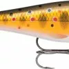 Rapala BX Minnow Casting -Fishing Elegant store BXM TR