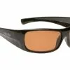 Ugly Fish Adult Basic Polarised Sunglasses P3044 BL.BR