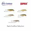 Rapala CountDown Sinking -Fishing Elegant store Rapala countdown sinking lures hero