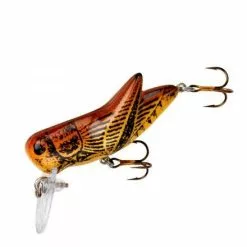 Rebel Crickhopper Grasshopper -Fishing Elegant store f73m 95 90a35ecd d70b 4700 9a3e 7733588dcde5