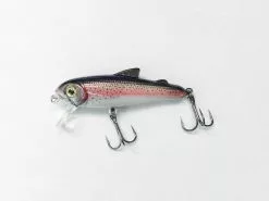 Bullet Lures Five - 0 Minnow 5cm -Fishing Elegant store rainbow trout